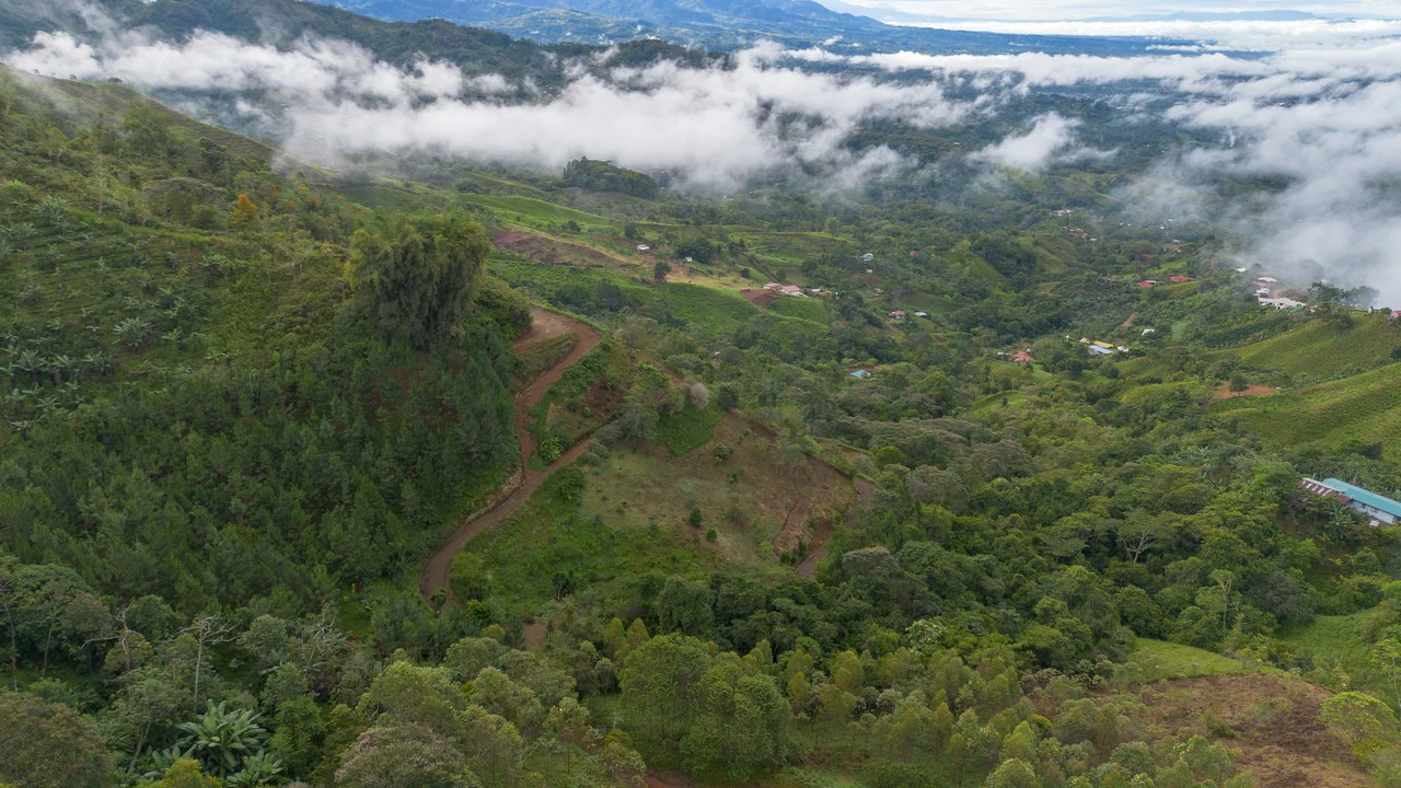10.21 Acres with Views & Plantels – Pérez Zeledón - Gallery image 15