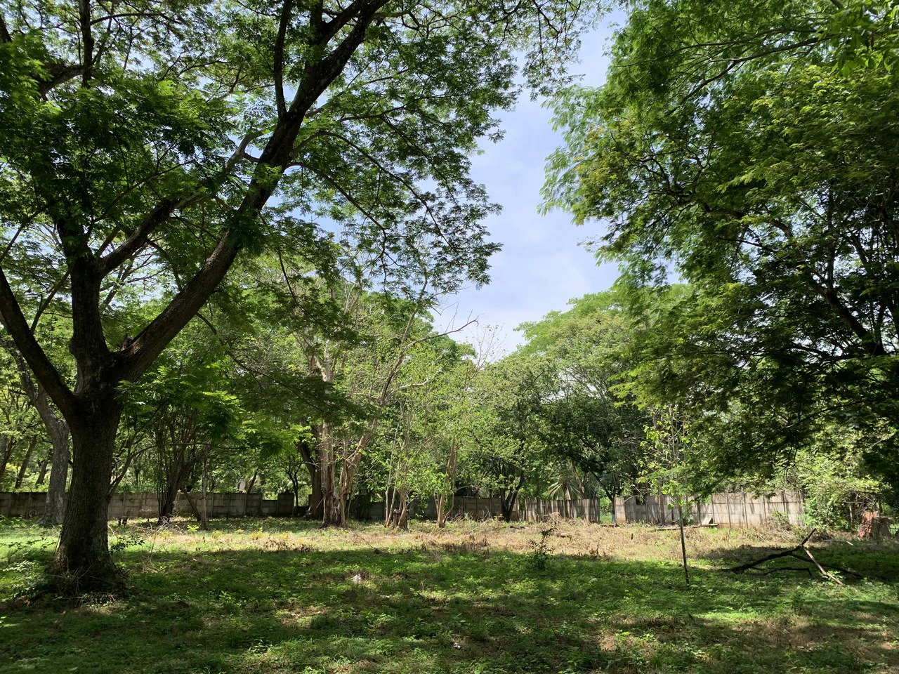Conchal Bay: Ideal Lot To Build A Hotel Lodge By Conchal Beach - Gallery image 4