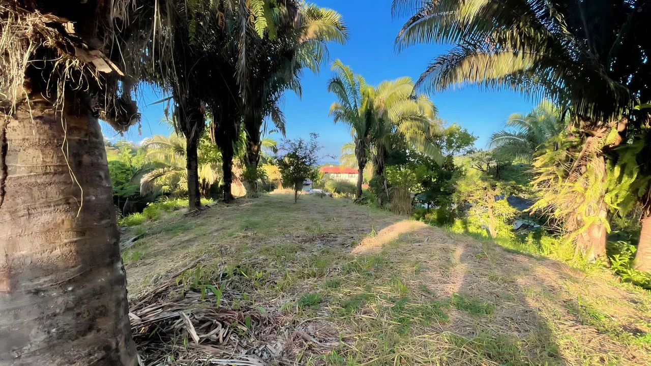 Exclusive Hermosa 1.2 Acre Lot with Panoramic Mountains and Ocean View. - Gallery image 5
