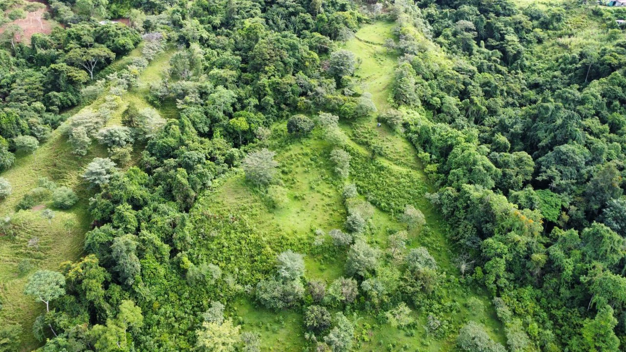 Propiedad en San Blas: Mountain Agricultural Land For Sale in La Linda General Viejo - Gallery image 25