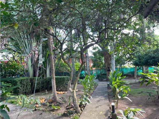 Tropical Garden Hotel Downtown Jaco - Gallery image 21
