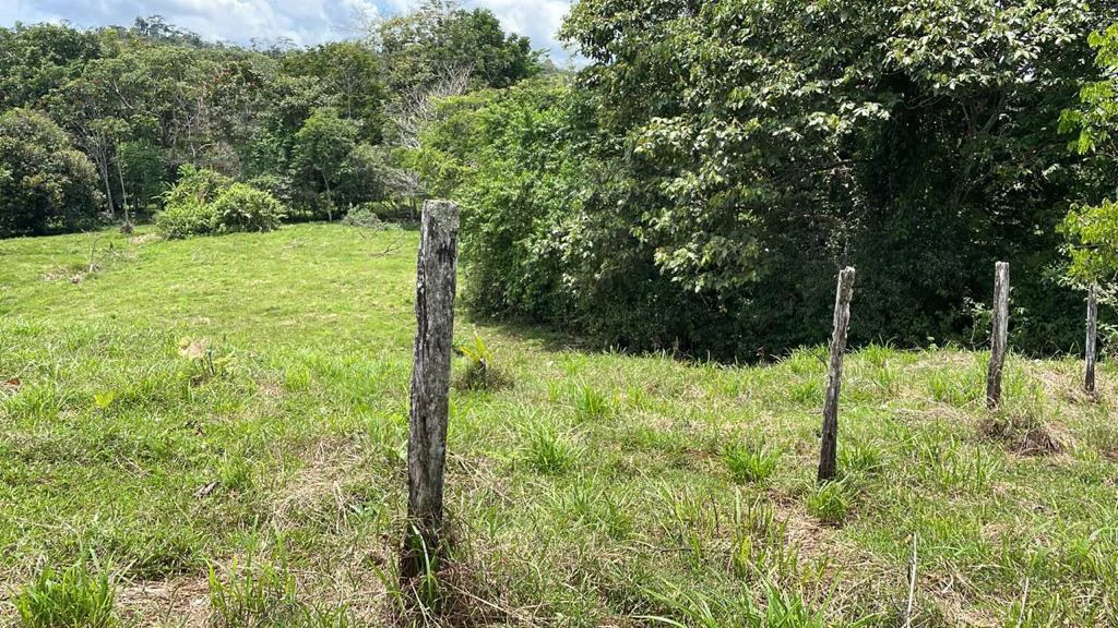 Building potential property for sale, beautiful land in the pure nature close to Bijagua - Gallery image 2