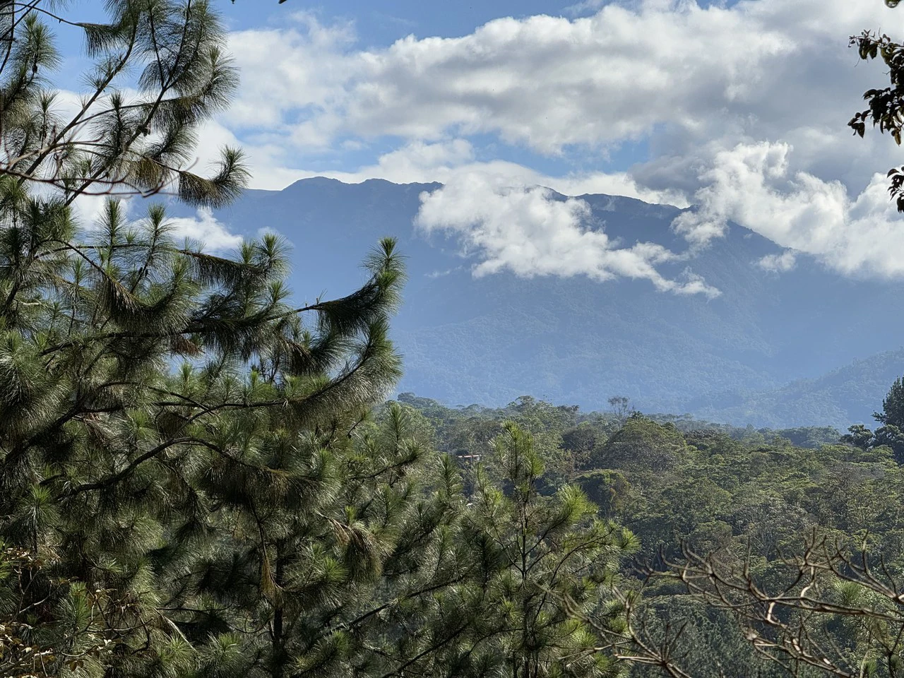 Stunning 2.4 Acre Property in Quebradas San Isidro del General - Gallery image 25