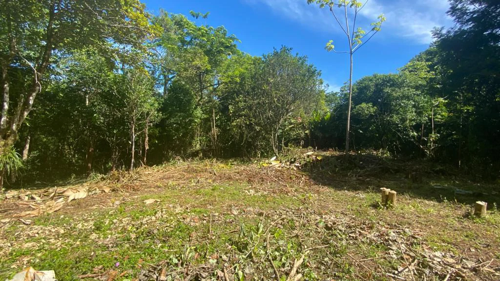 Mountain Home Construction Site For Sale in Tres Rios - Gallery image 6