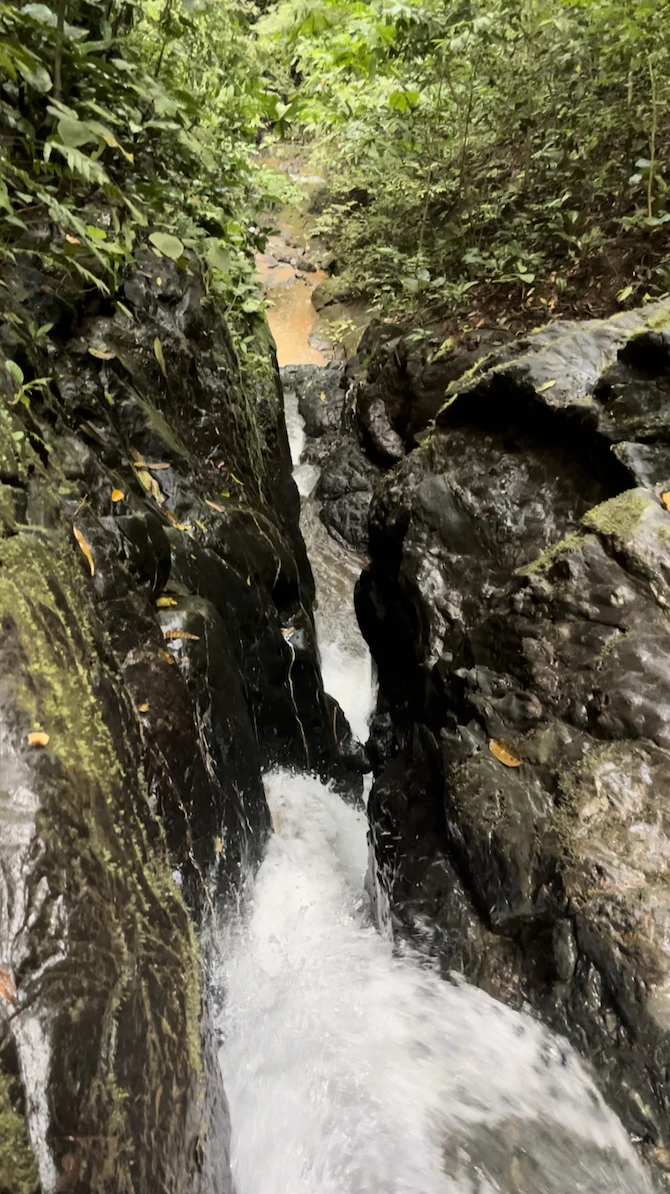 SPECTACULAR ECOLOGICAL MOUNTAIN FARM IN BIJAGUAL DE TURRUBARES - Gallery image 38
