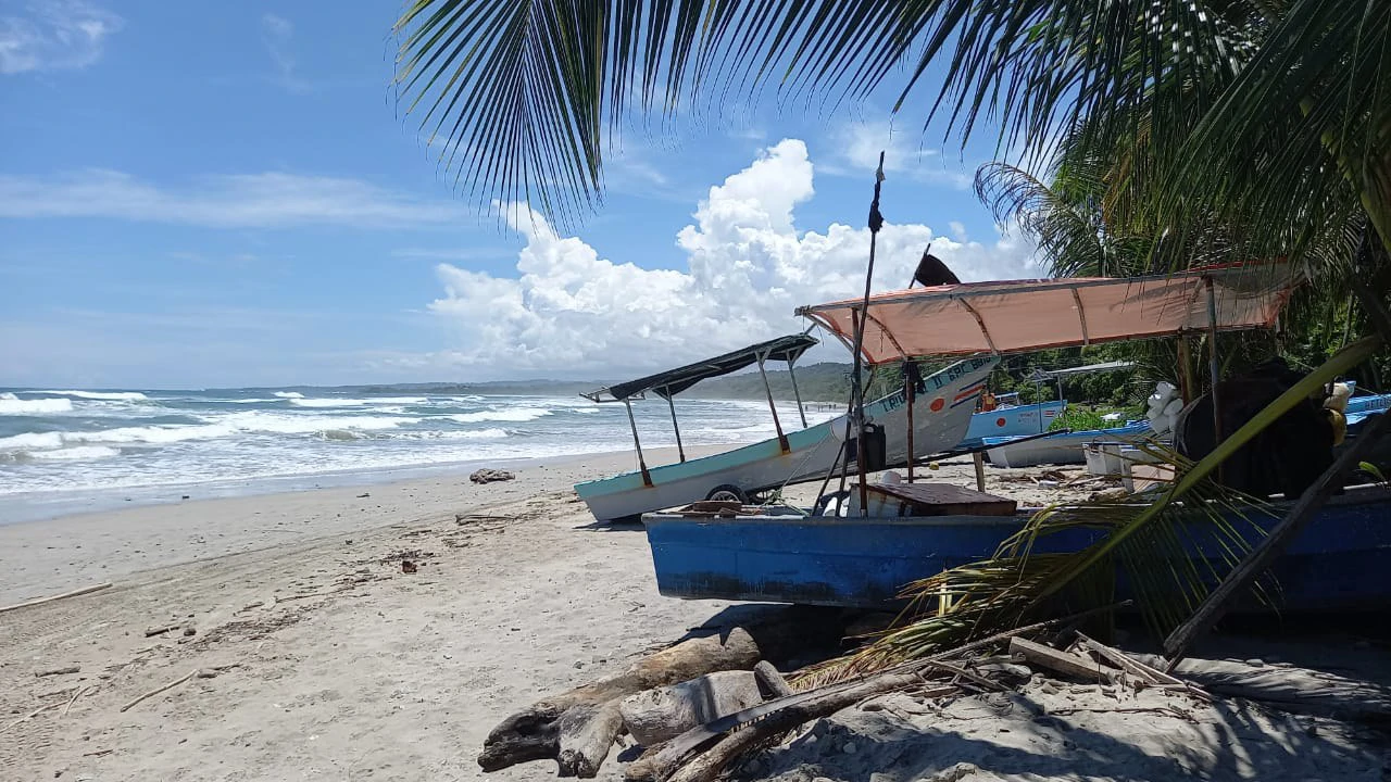Property with Five Units in the heart of Guiones Beach - Nosara - Gallery image 51