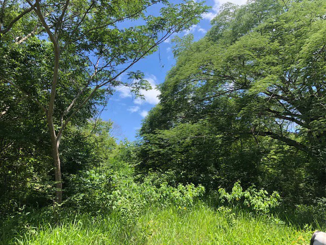Amazing 50% discount for Huge ocean-view farm for sale surrounded by soft rolling hills and pristine nature - Gallery image 33