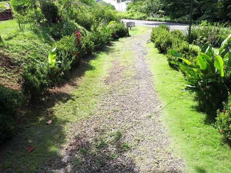 69.16 Acres Property | Mountain & Top Ocean View with Small Home - Gallery image 22