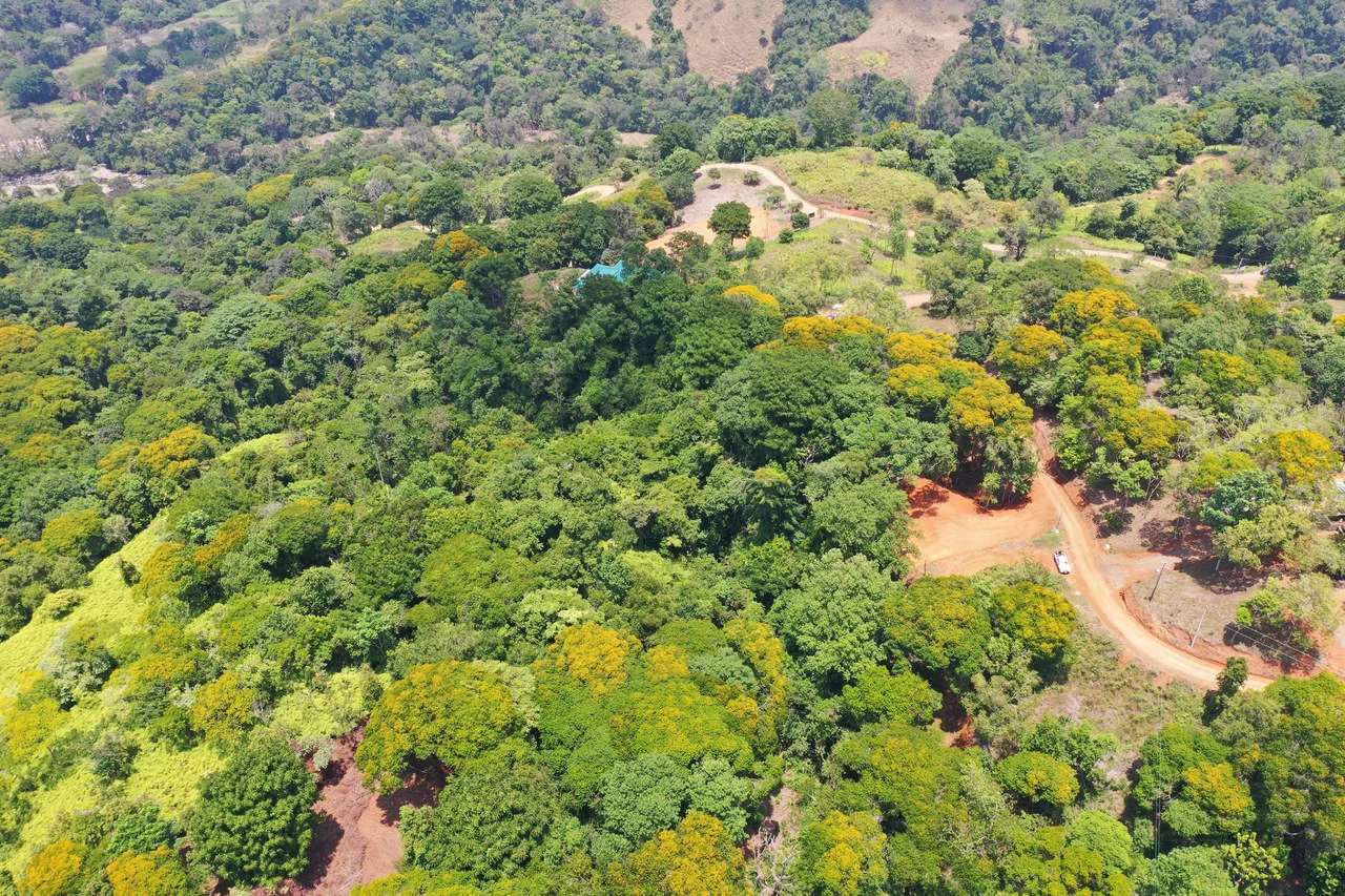 2.5 Acre Jungle and Valley View Home site in Dominical - Gallery image 13