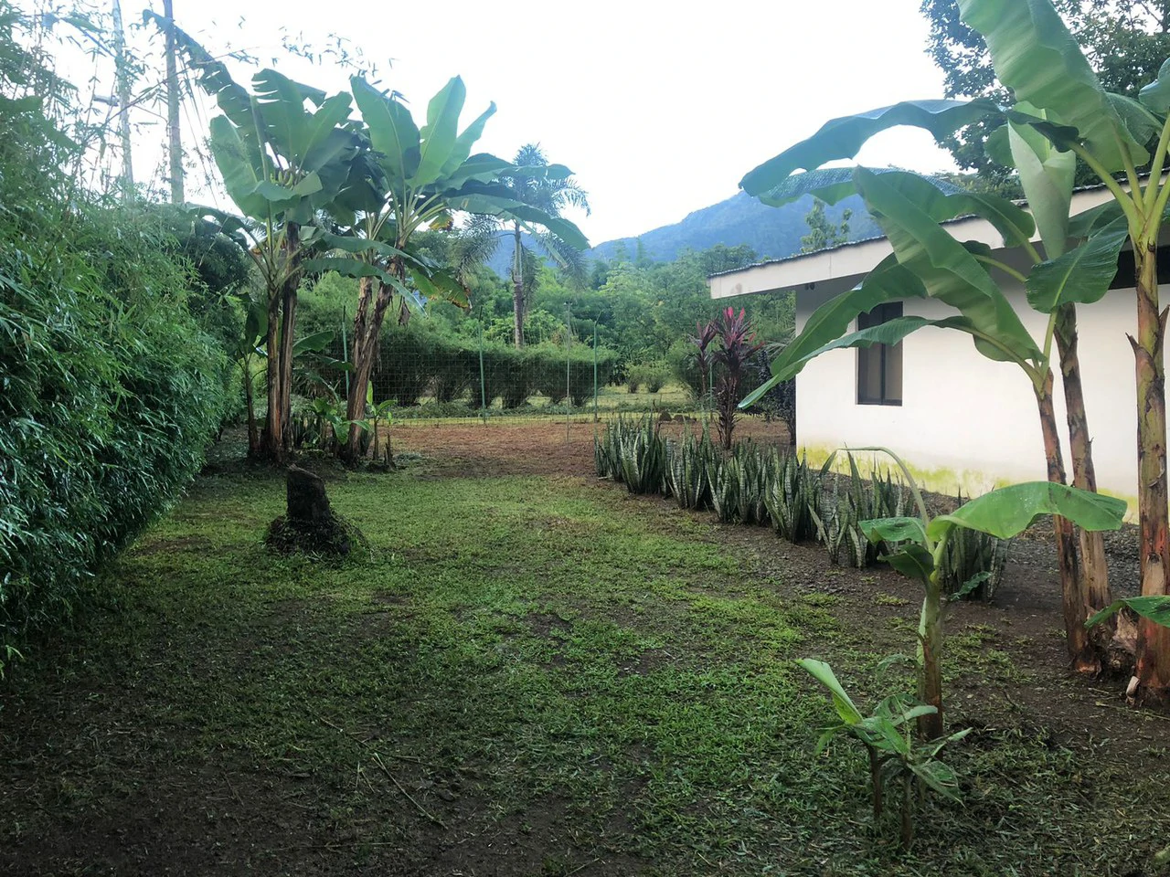 Perla Tropical Rio Seco: Great Opportunity for Sale with reduced price - Gallery image 24