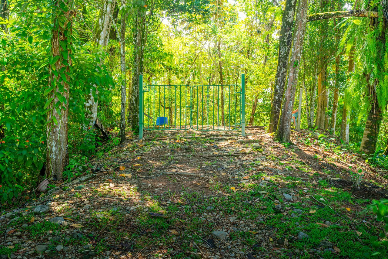 Casa Única -: Ocean View Oasis with Commercial Potential in the Heart of Uvita - Gallery image 25