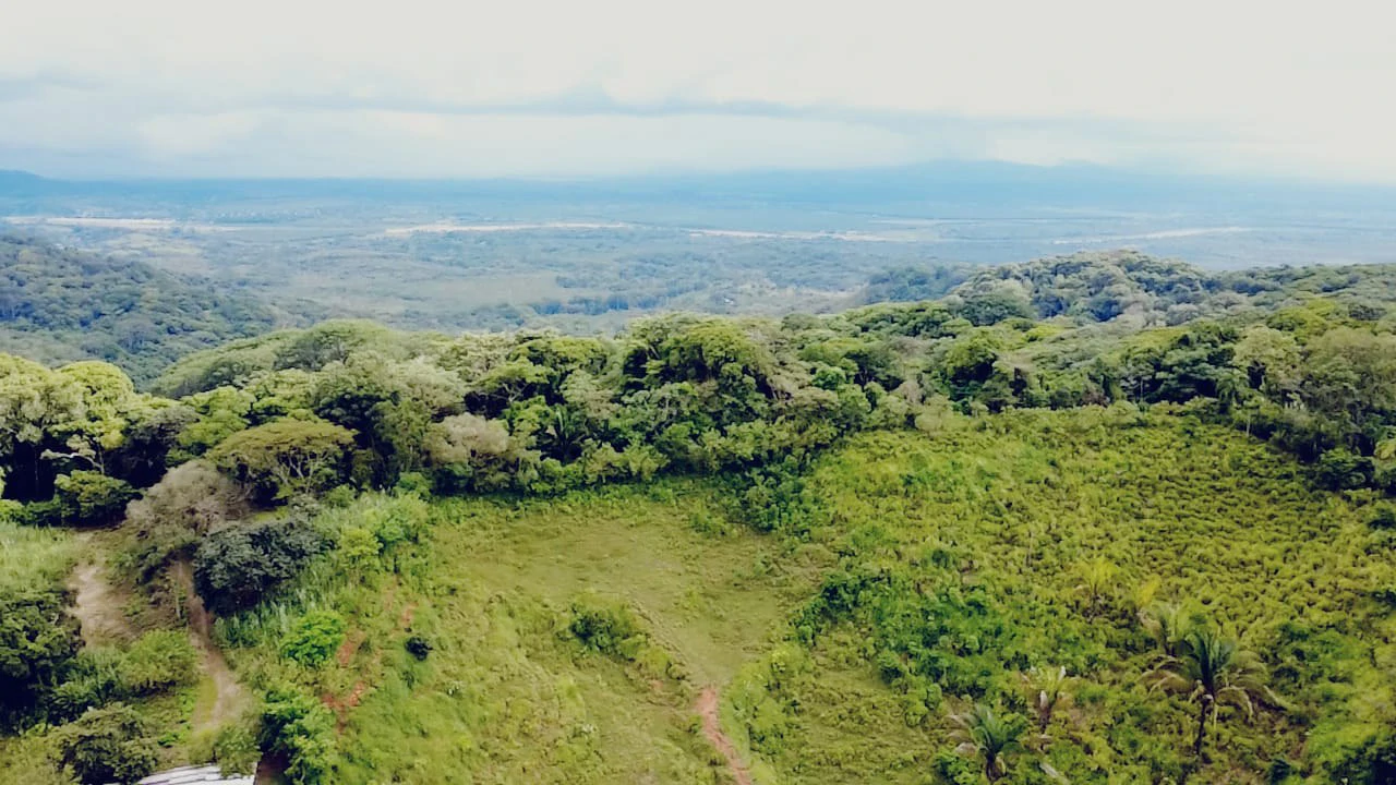 Near the Coast Home Construction Site For Sale in Osa - Gallery image 15