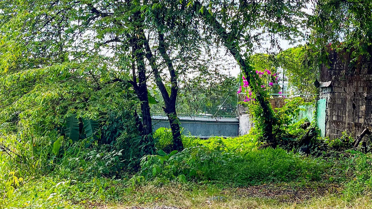 Build Ready Lot in the Heart of Manuel Antonio - Gallery image 9