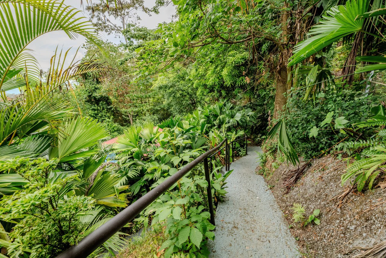 Villas In Sueño – A Rare Gem in the Heart of Manuel Antonio: Mountain Multi Unit Building For Sale in Manuel Antonio - Gallery image 35