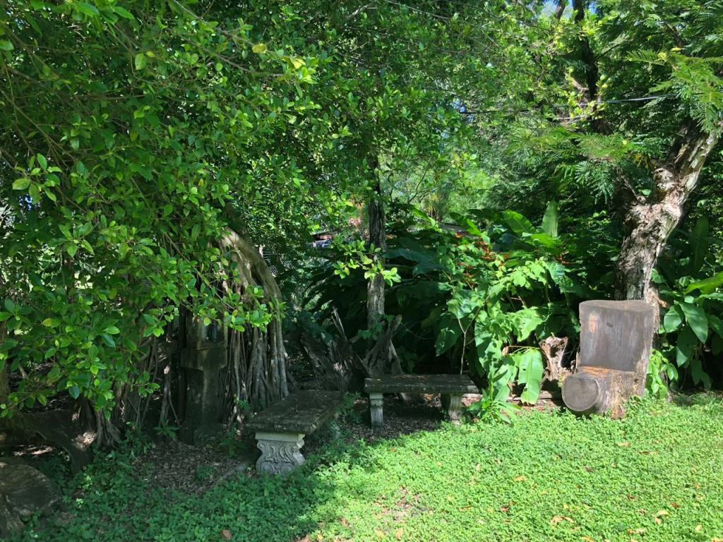 Huge dream Cattle farm for sale with 2 houses close to the Gulf of Nicoya, Guanacaste, Costa Rica - Gallery image 17