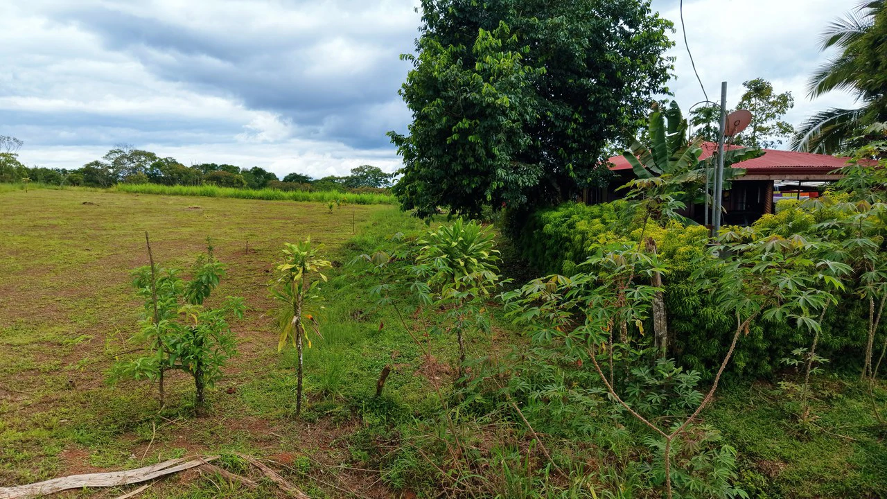 Countryside Home Construction Site For Sale in San Pedro - Gallery image 26