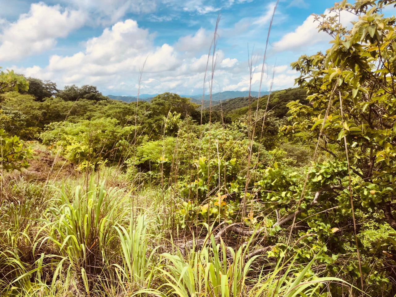 Spectacular private ocean view farm in Tamarindo, Costa Rica - Gallery image 12