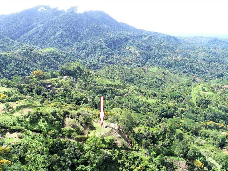 Captivating 3.15-Acre Property: Huge Pricedrop! Firesale Oceanview Lot in Tres Rios - Gallery image 42