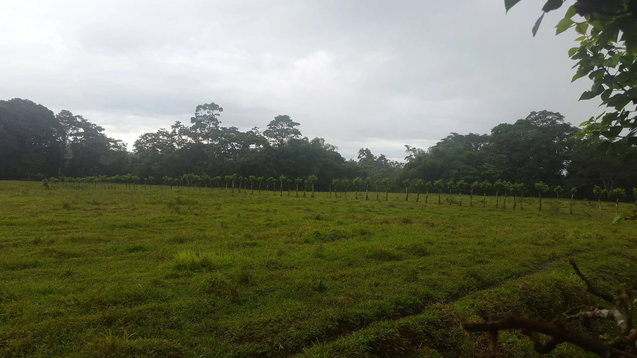 Countryside Development Parcel For Sale in Cariari - Gallery image 21