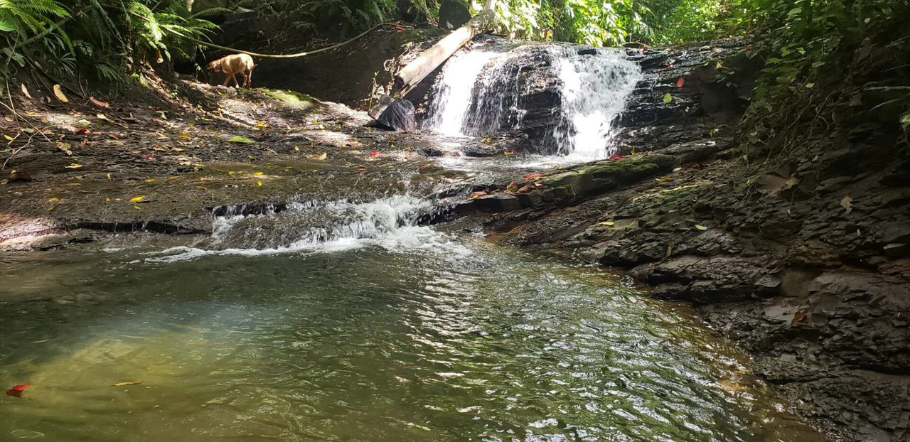 10 ACRES – Rare Ocean View Development Or Estate Property In Uvita – With Waterfall!!! - Gallery image 6