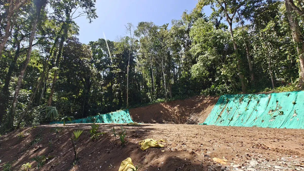 ID  1011: 7535m² Cahuita Land Near the Beach with Building Platform - Gallery image 4