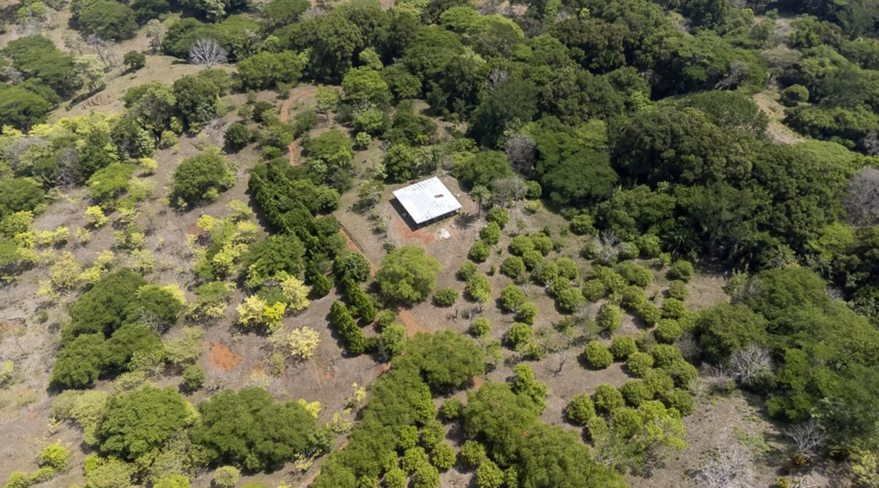 Farm for sale in Puntarenas Lepanto Costa Rica - Gallery image 2