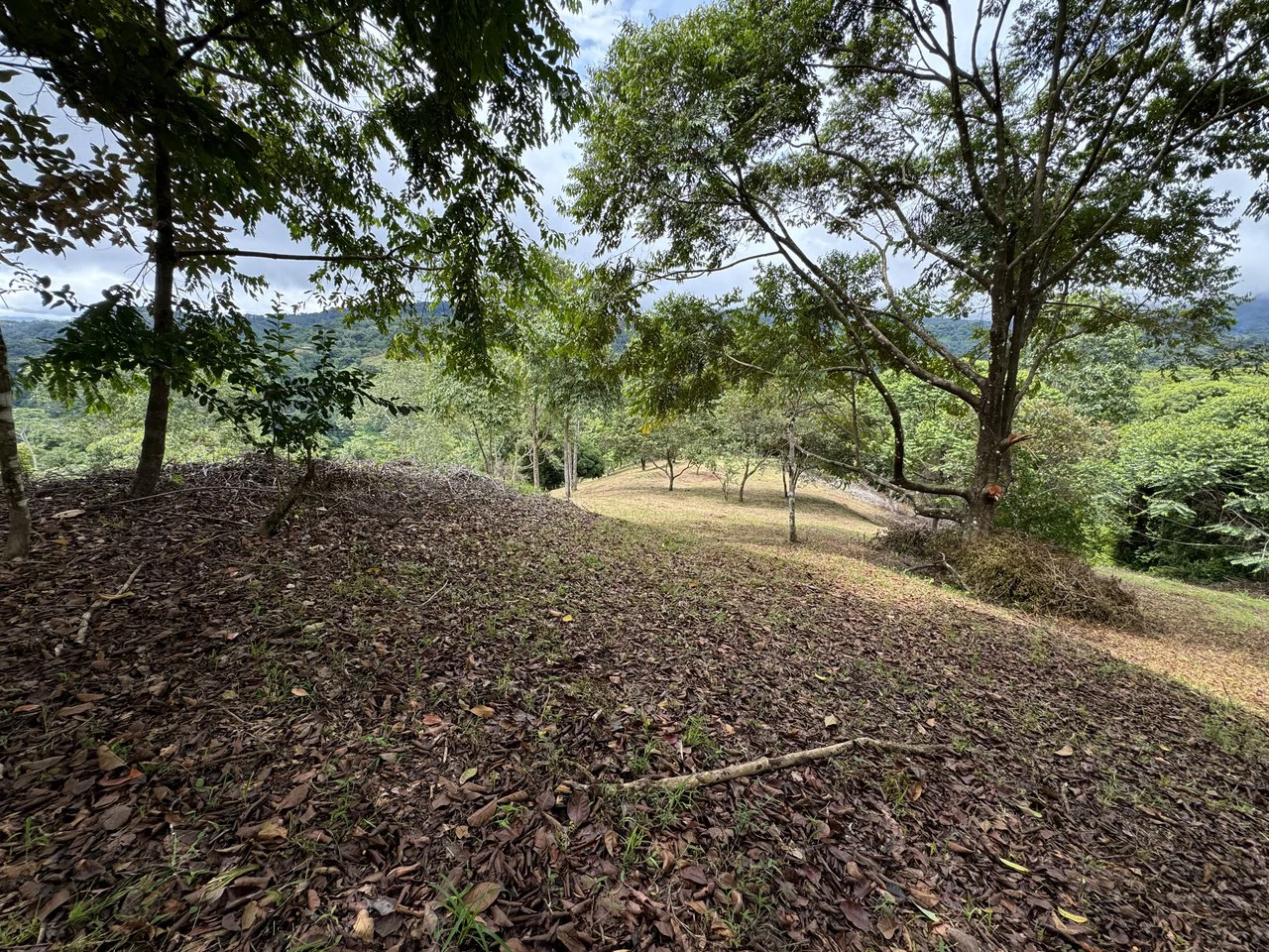 Diamante Waterfall View Land in Dominical 2.9 Acres - Gallery image 19