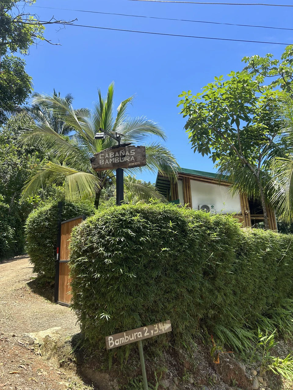Cabinas Bambura: Cabinas Bambura: Successful Airbnb Business with Stunning Mountain & Jungle View - Gallery image 11