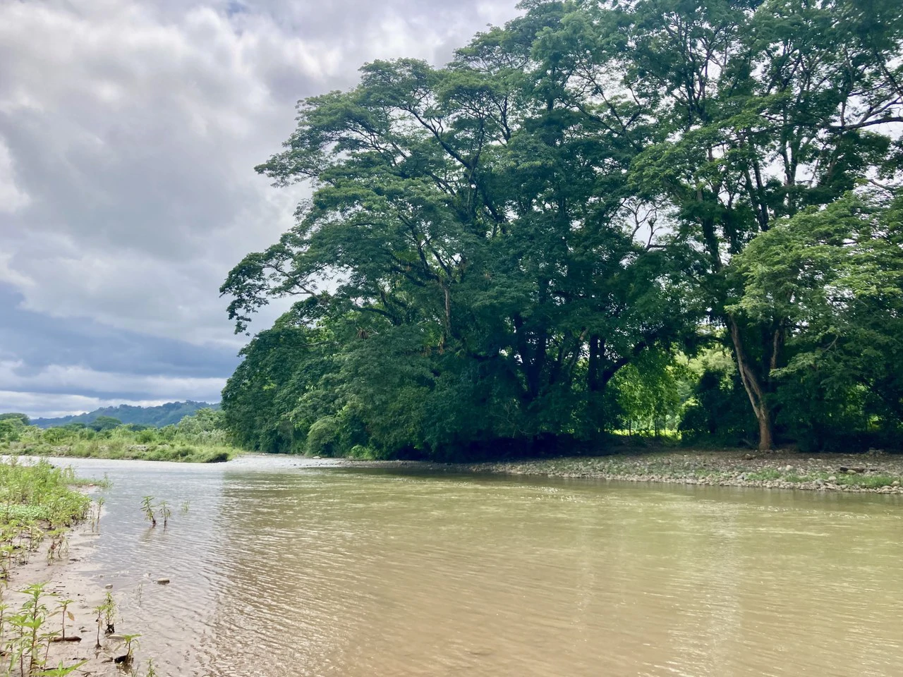 Frog Desing House: Property for Sale in Parrita, Costa Rica - Gallery image 35