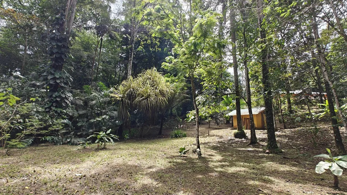 ID 1055: Elevated Jungle Residence on Expansive Riverfront Jungle Land - Gallery image 18