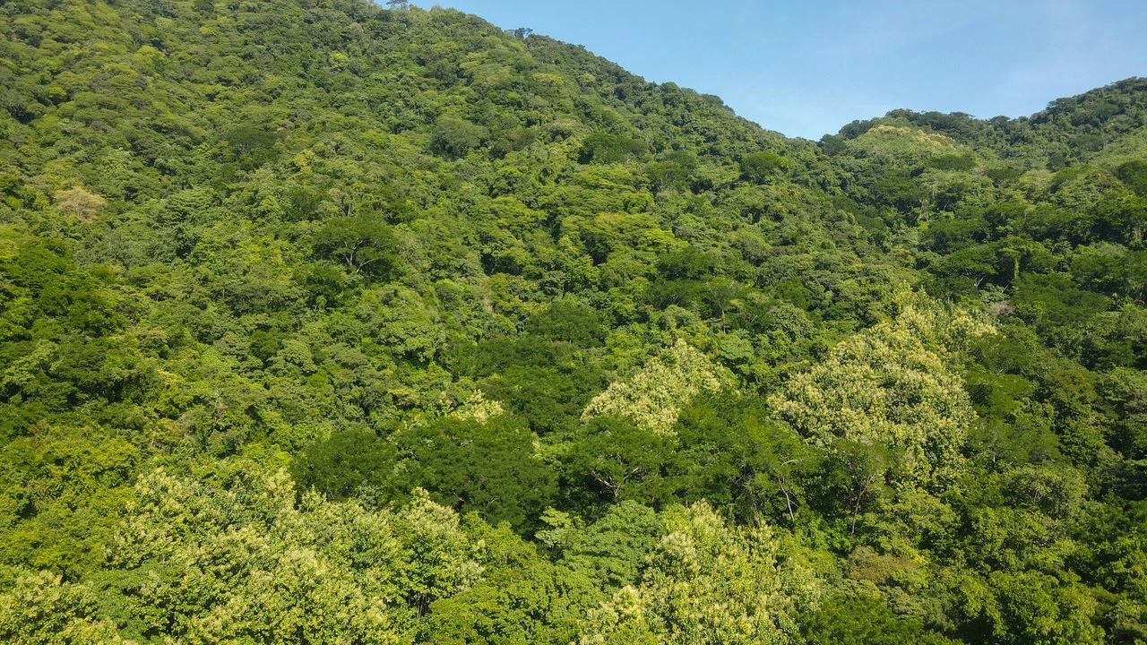 Farm for sale Bejuco Nandayure Guanacaste Costa Rica - Gallery image 5