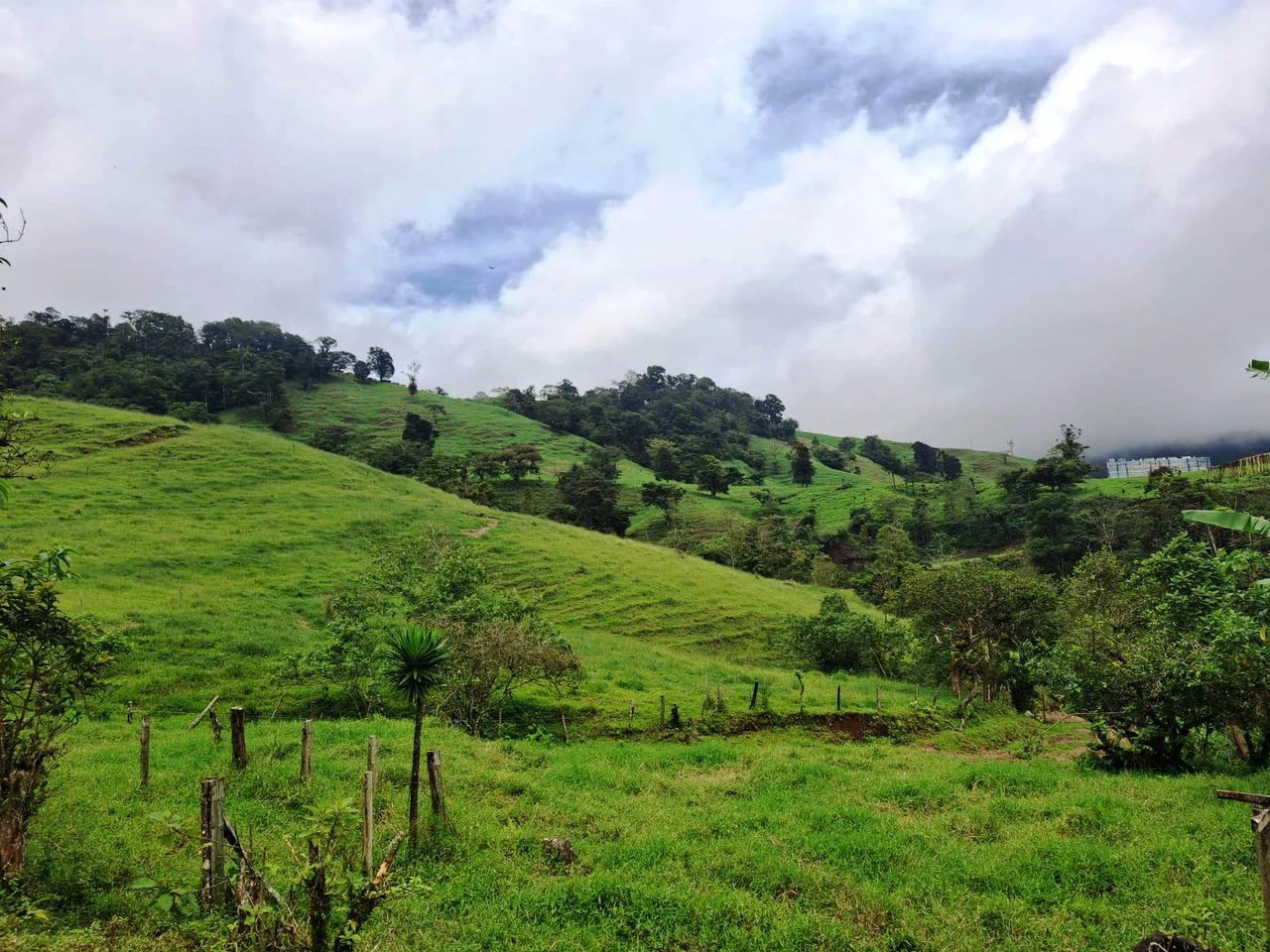 INVESTOR & DEVELOPER ALERT: High-Visibility Investment Property in the Heart of Tourist-Friendly Zarcero