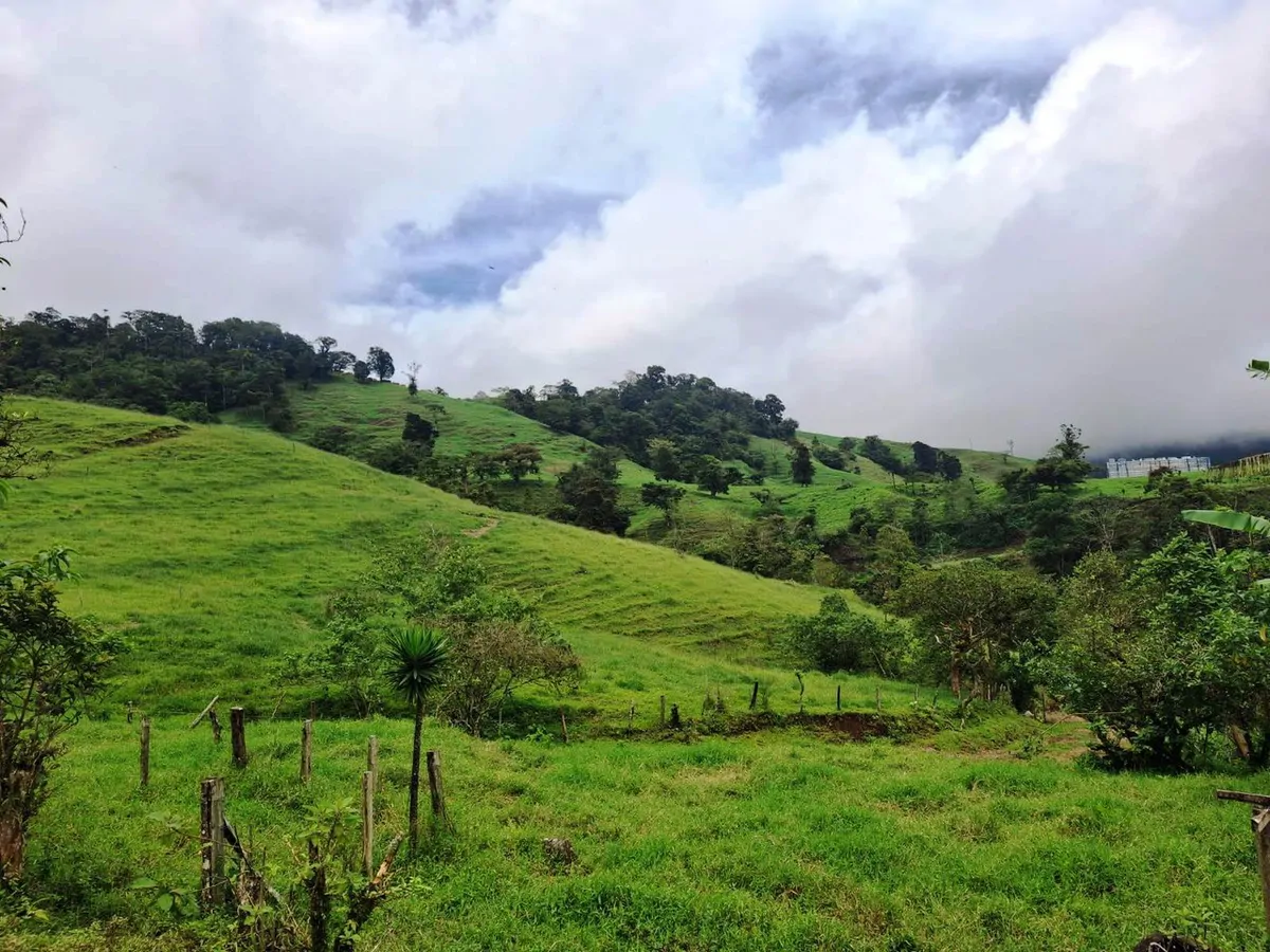 INVESTOR & DEVELOPER ALERT: High-Visibility Investment Property in the Heart of Tourist-Friendly Zarcero