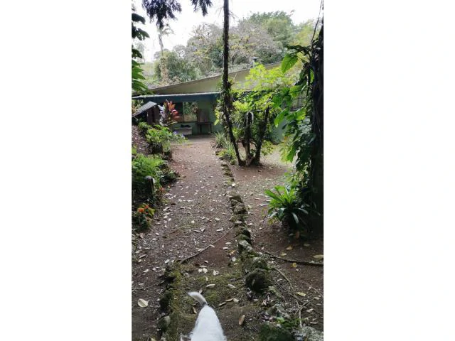 Countryside, Lakefront and Mountain House For Sale in Arenal - Gallery image 12