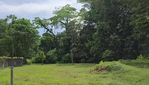 Near the Coast Development Parcel For Sale in Moin - Gallery image 6