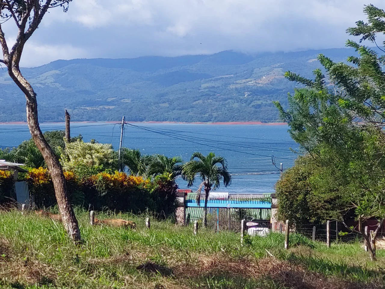 VISTA BAHIA : Newly remodelled Home on 3 acres lake view and public road front - Gallery image 2