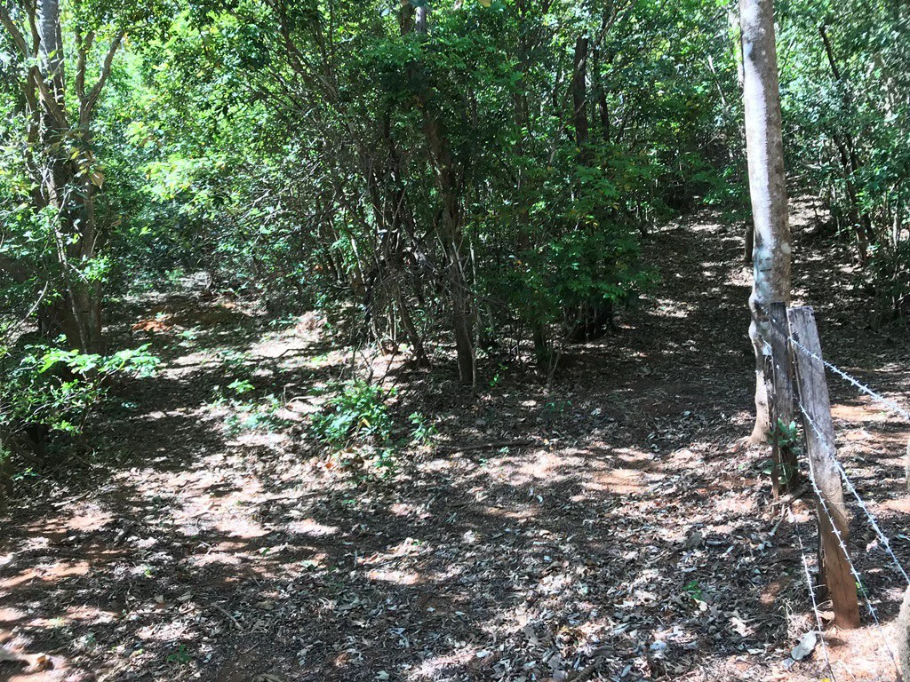 Ocean view farm for sale in the mountains of San Juanillo - Gallery image 17