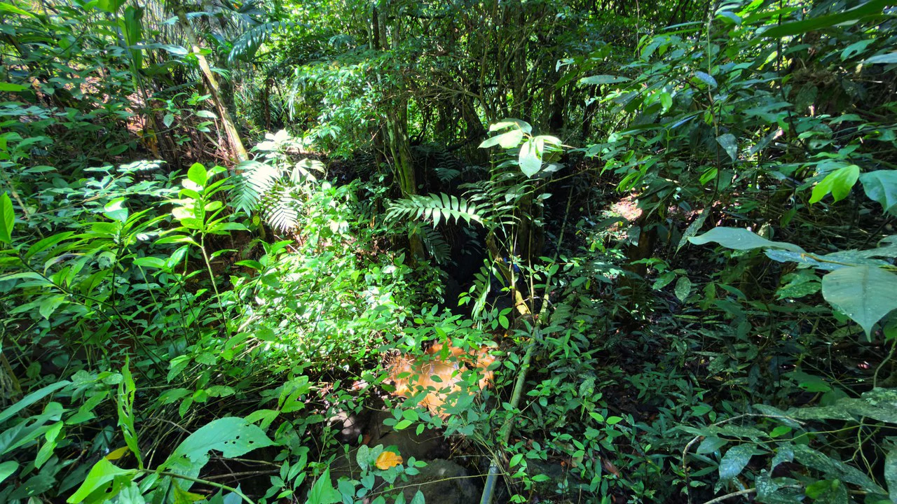 Home Construction Site For Sale in San Rafael Norte - Gallery image 10