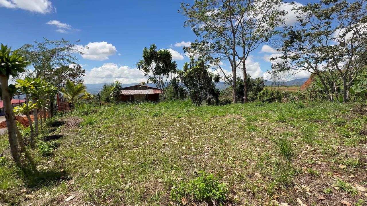 Property For Sale in Miravalles - Gallery image 5
