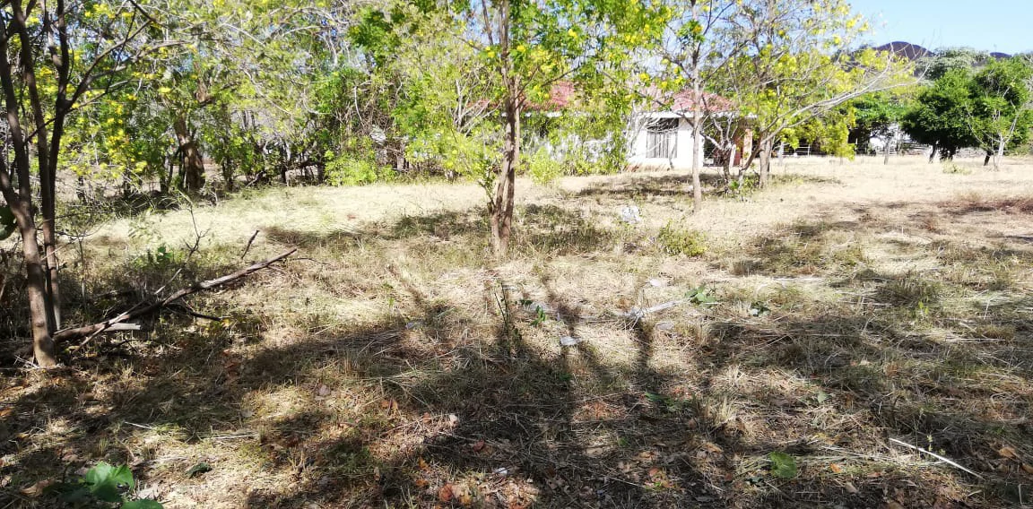 Property in Coco Beach - Gallery image 10