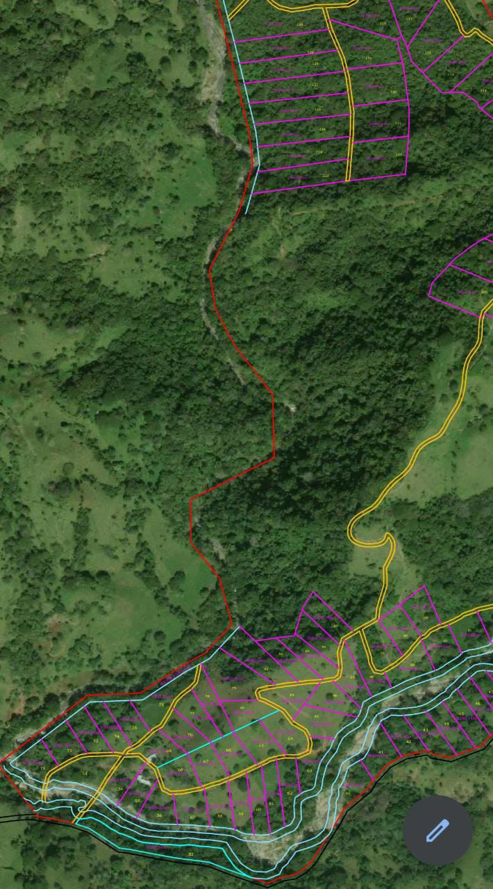 Costa Rica horse Farmland close to Monteverde - Gallery image 14