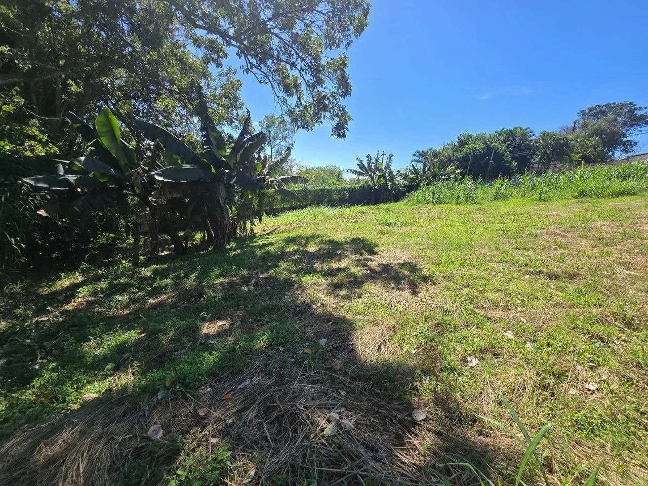 Land for sale in Tambor, Alajuela - Gallery image 8