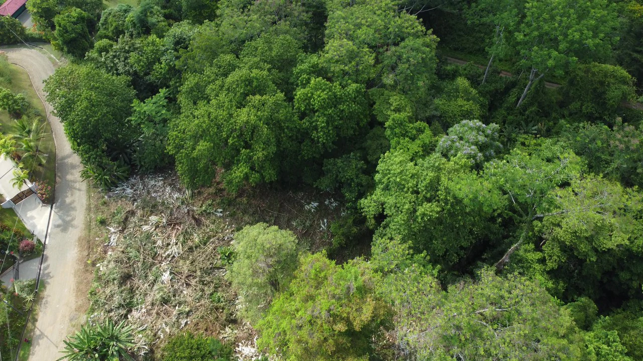 Ojochal - 1 Acre Ready To Build Jungle Lot, Ocean Breezes in Wildlife Corridore - Gallery image 5