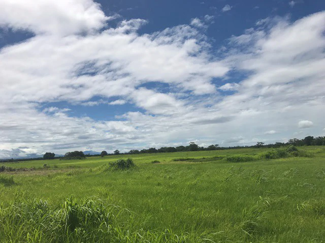 Large Development Land for Sale in Liberia, Guanacaste, Costa Rica - Gallery image 30
