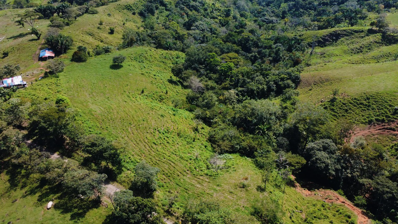8HA EN VENTA, UBICADA EN BUENOS AIRES, PUNTARENAS.: Countryside Home Construction Site For Sale in Buenos Aires - Gallery image 8