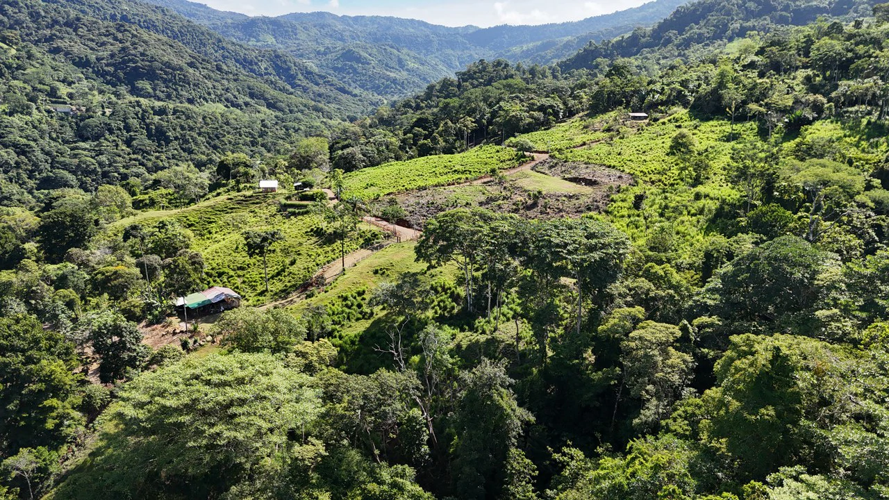 Near the Coast and Mountain Home Construction Site For Sale in Uvita - Gallery image 9