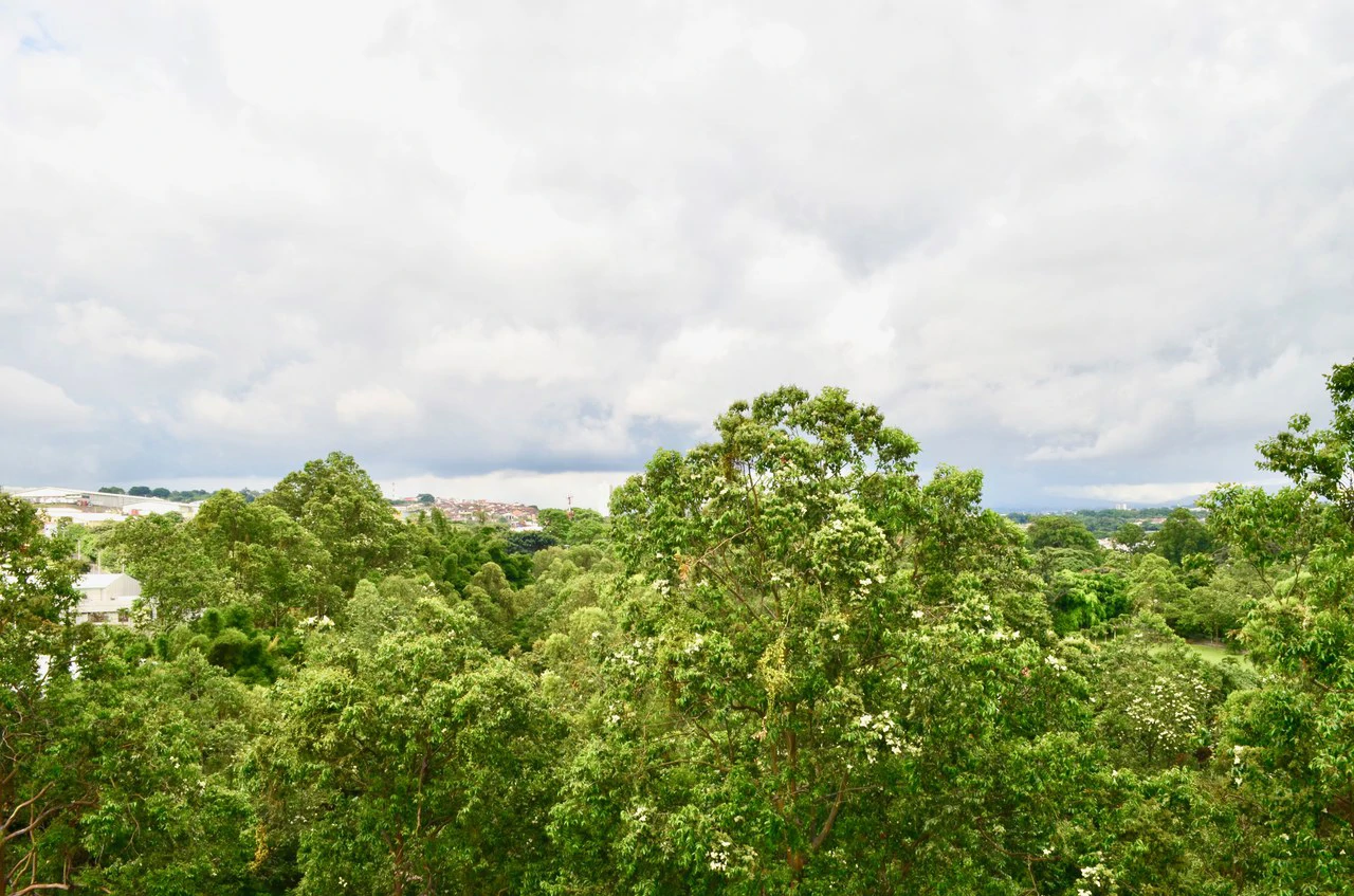 Apartment For Sale in Ulloa - Gallery image 20