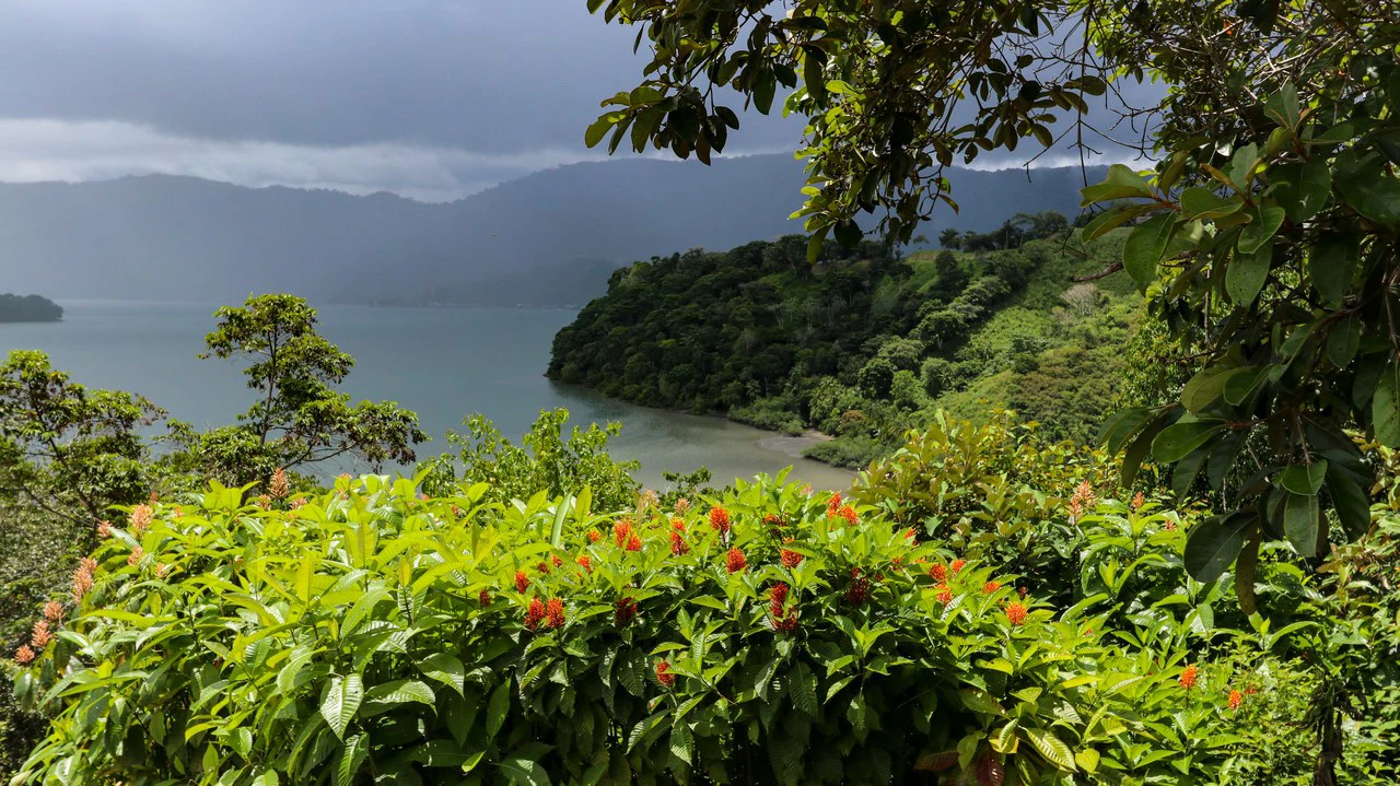 Unique Development Property Overlooking the Pristine Golfito Bay and Golfo Dulce - Gallery image 14