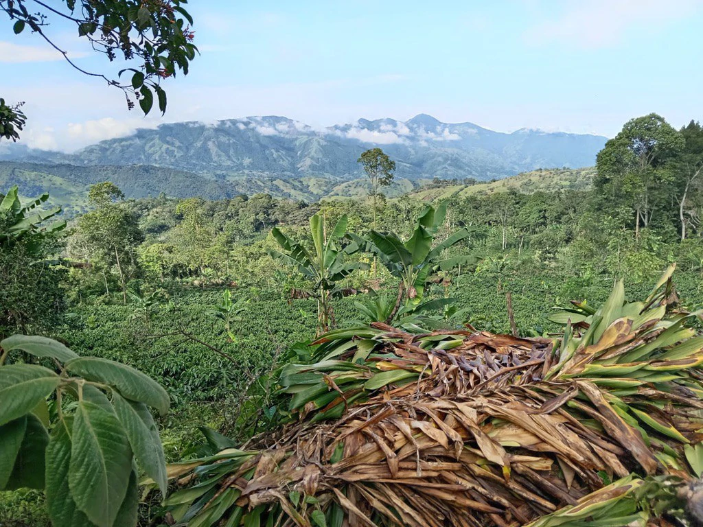 CAPTIVATING OCEAN AND PANORAMIC MOUNTAIN VIEW FINCA IN PURISCAL - Gallery image 9