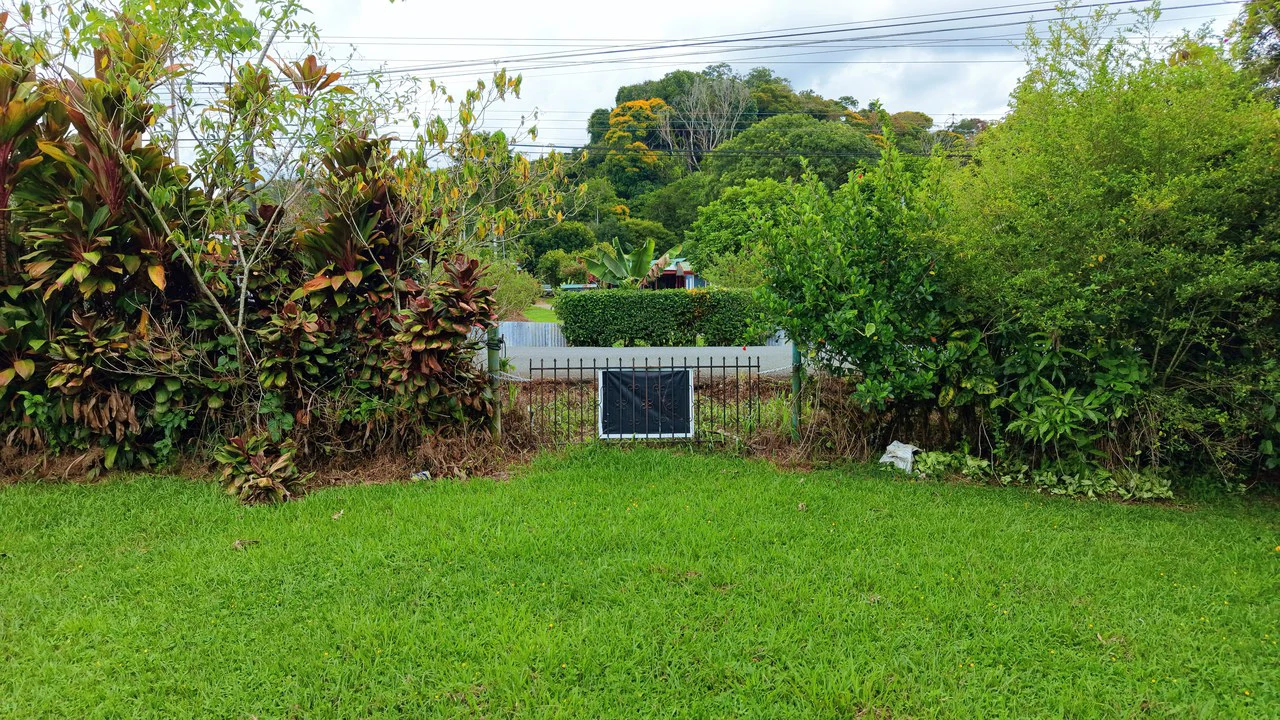 LOTE PLANO CON FRUTALES: Mountain Home Construction Site For Sale in General Viejo - Gallery image 9